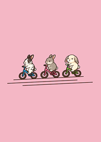 Rabbit on a bicycle-Gray powder