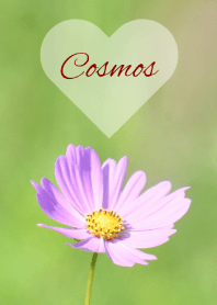 -- Cosmos -- 34
