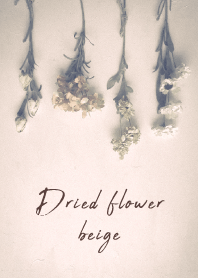 Dried flower_beige