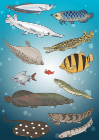 Ancient fish&Big fish