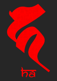 BONJI [ha] BLACK RED (0178