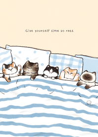 Sleepy Chubby Cats