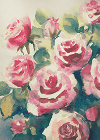 Beautiful rose flower(R4499)