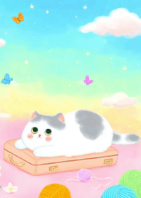 แมวอ้วนกลม น่ารัก_81