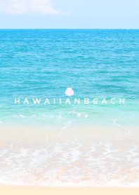 HAWAIIAN BEACH SHELL-MEKYM 8