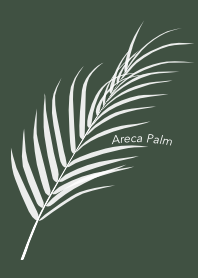 Areca Palm 02 (Gray Asparagus)