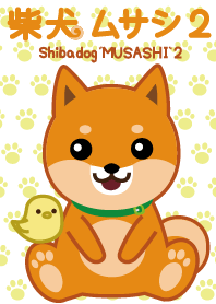 Shiba dog "MUSASHI" 2