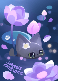 siamese cat & lotus (night)