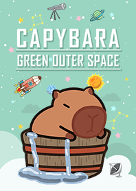 Capybara/spa/starry sky/green