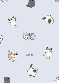 neko combo1 - alice blue