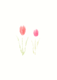 Watercolor Tulips - Pink