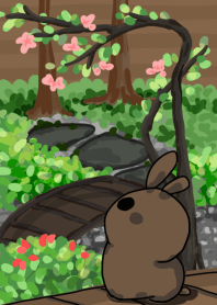 rabbit staring - courtyard