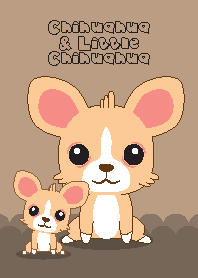 Chihuahua & Little Chihuahua