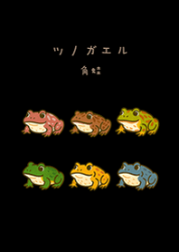 私のツノガエル(純粋な黒)