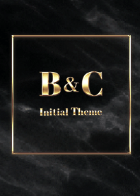 [ B&C ] Initial Theme  Gold Black