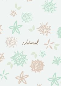 flower adult color8 from Japan