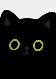 Black cat so black/6