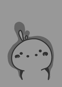 rabbit staring-43