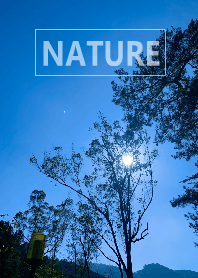 The nature37