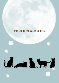 moon&cats