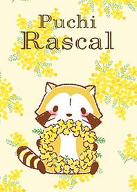ラスカル☆ミモザ
