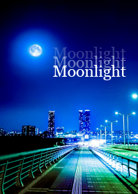 大人のMoonlight