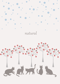 Scandinavian forests and cats3.