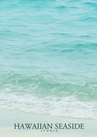 HAWAIIAN SEASIDE-SHELL 29