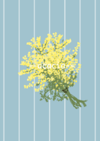 アカシア