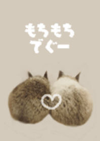もちもちでぐー