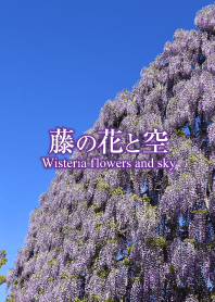紫藤花和天空