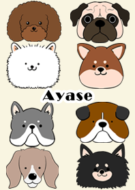 Ayase Scandinavian dog style