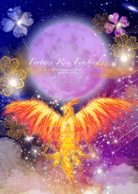 運気最強鳳凰と月