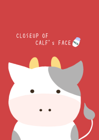 CLOSEUP OF CALF's FACE/RED/BEIGE