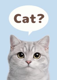 British Shorthair Simples 3 B/W 04