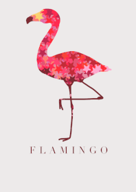 Flamingo bird