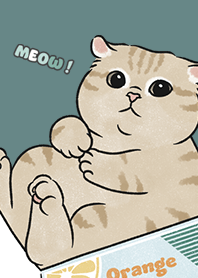 neko single19 / cadet blue