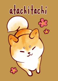 あたちたちのしばいぬ きせかえ１