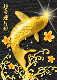 Attract good fortune Golden Carp 7