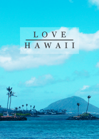 I LOVE HAWAII - aloha