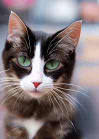 Nyanko Great Runaway#lzgae730