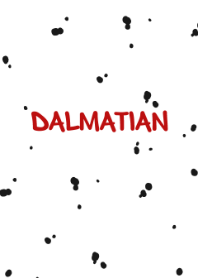 Dalmatian .