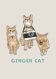 gingercat2 / beige