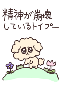 精神が崩壊しているトイプー