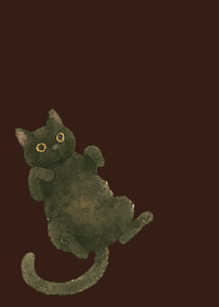 Relaxing black cat on brown