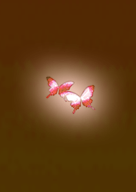 Dark orange light butterfly