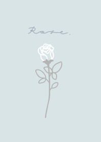 Rose /Light Blue.