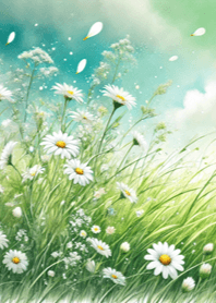 Cheerful Daisy 007
