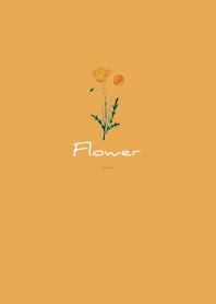 Orange : Flower