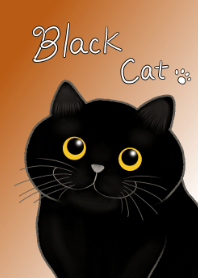 Love♡Love 黒猫♡simple brown ver.